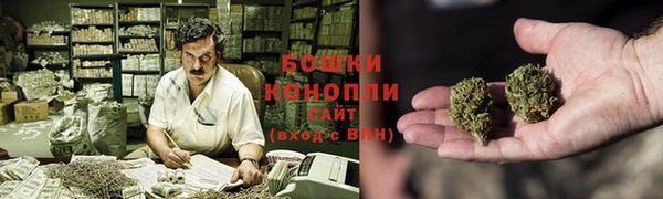 трава Белокуриха