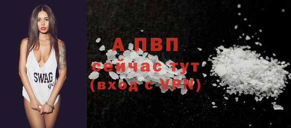 трава Белокуриха