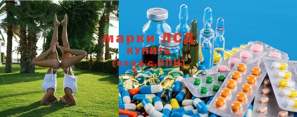 трава Белокуриха