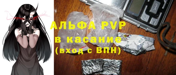 трава Белокуриха