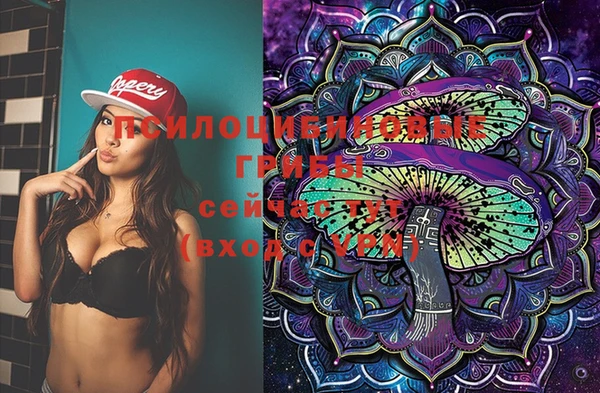 шишки Арсеньев